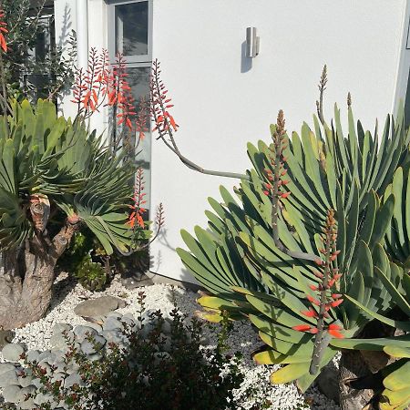 Stunning park side holiday home Christchurch Eksteriør bilde